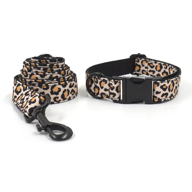 Black Buckle Collar and Leash Set for Dogs