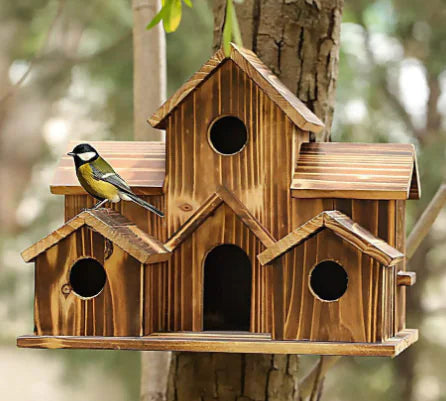 Come To My Garden™ | Help Eleven Birds!