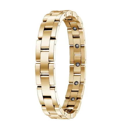 Classic Men's Titanium Steel Health Bracelet